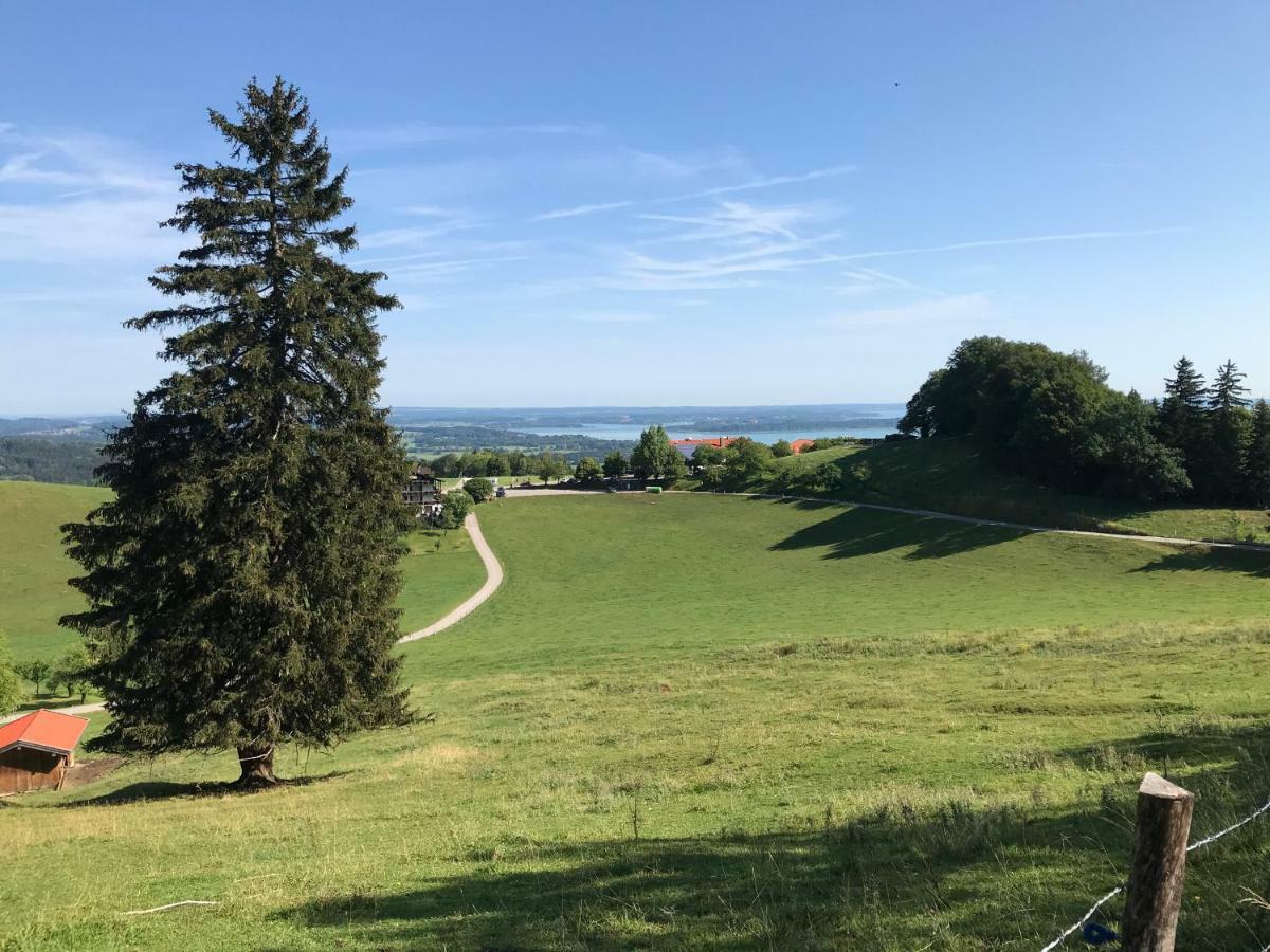 Fewo Chiemsee Spezial Aschau im Chiemgau Dış mekan fotoğraf